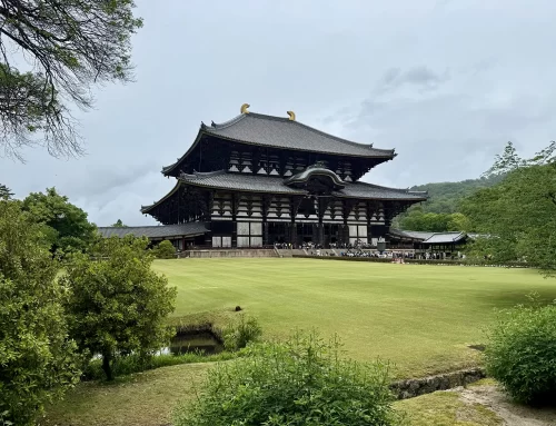 A Journey to Japan: A Trip We Will Never Forget