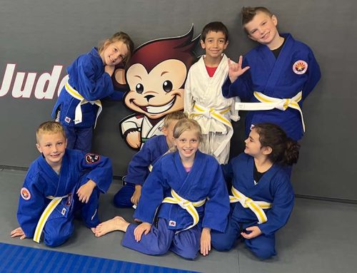 What is the Difference between Mat Monkeys and Little Ninjas?