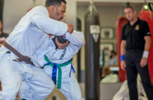 programs-freestyle-judo